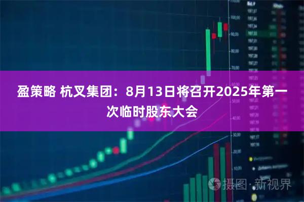 盈策略 杭叉集团：8月13日将召开2025年第一次临时股东大会