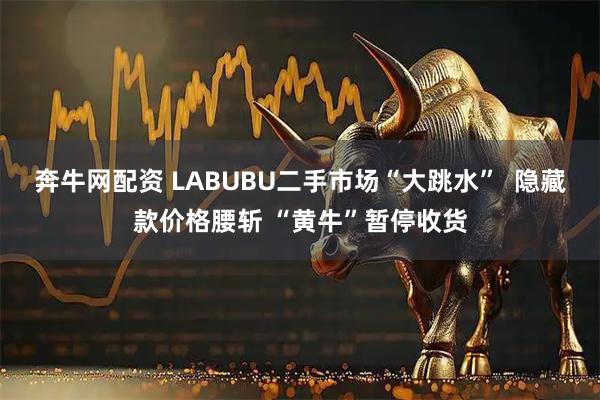 奔牛网配资 LABUBU二手市场“大跳水”  隐藏款价格腰斩 “黄牛”暂停收货